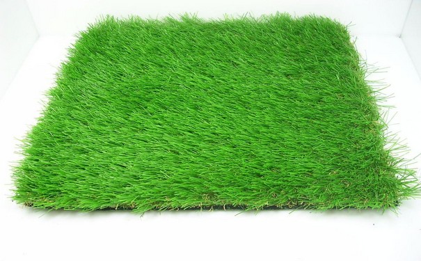 室外人造草坪的价格是多少？它是怎么保养的？